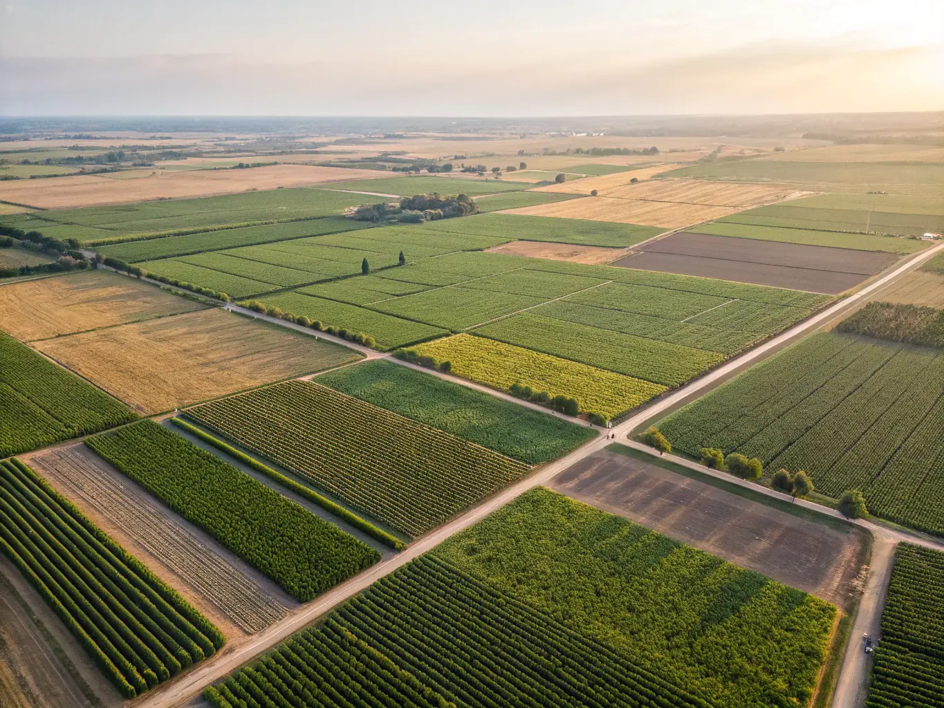 An aerial photograph of a vast agricultural field, demonstrating the use of drone imagery for crop health monitoring and yield optimization.